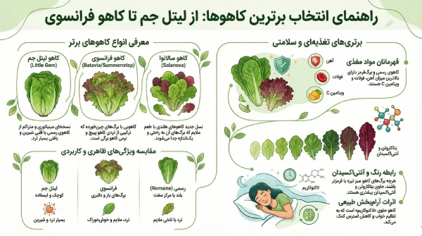 راهنمای انتخاب کاهو 